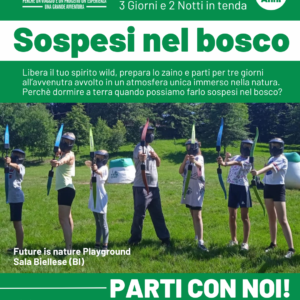 SOSPESI NEL BOSCO 2025