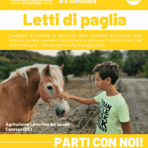 LETTI DI PAGLIA 2025